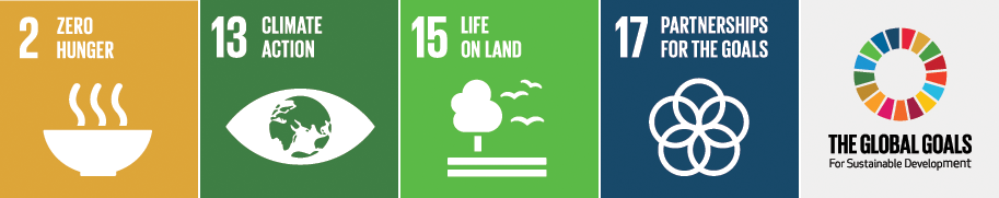 Gender responsive solutions to Food Security and Climate Change: UN Sustainability Goals