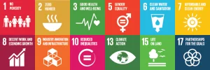 Ripples in Africa UN Sustainable Development Goals