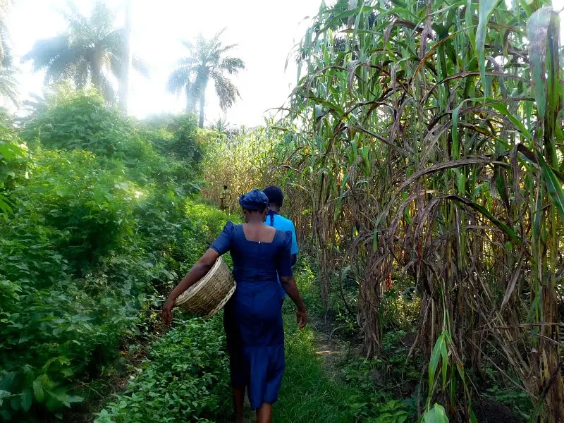 The Future We Want: Open more markets to African Women The Future We Want: Open more markets to African Women